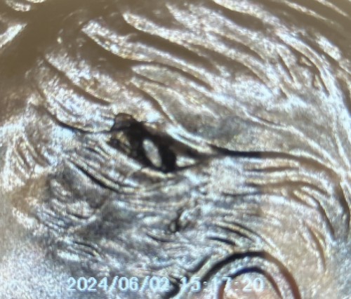Wow 2020 dime lg - 2020,